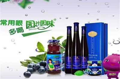 園汁園味飲品加盟 大連市場的機遇與前景